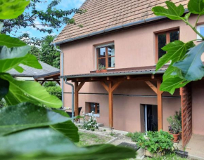 Apartments in Siofok/Balaton 36443
